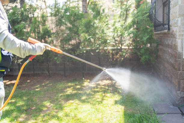 Best Best Pest Control Companies  in Harrisburg, OR