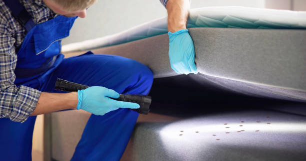 Best Rat Extermination Near Me  in Harrisburg, OR