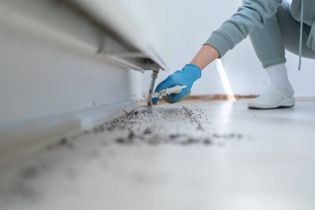 Best Pest Removal Services  in Harrisburg, OR